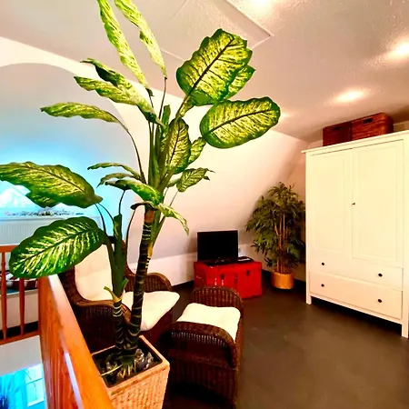 Achtern Diek Haus 6 6 *